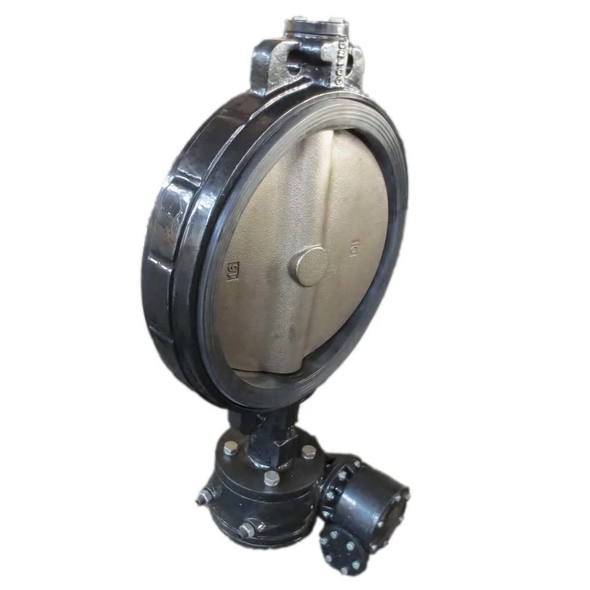 Corrosion Resistant Butterfly Va